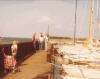 FMCTC havnebisser